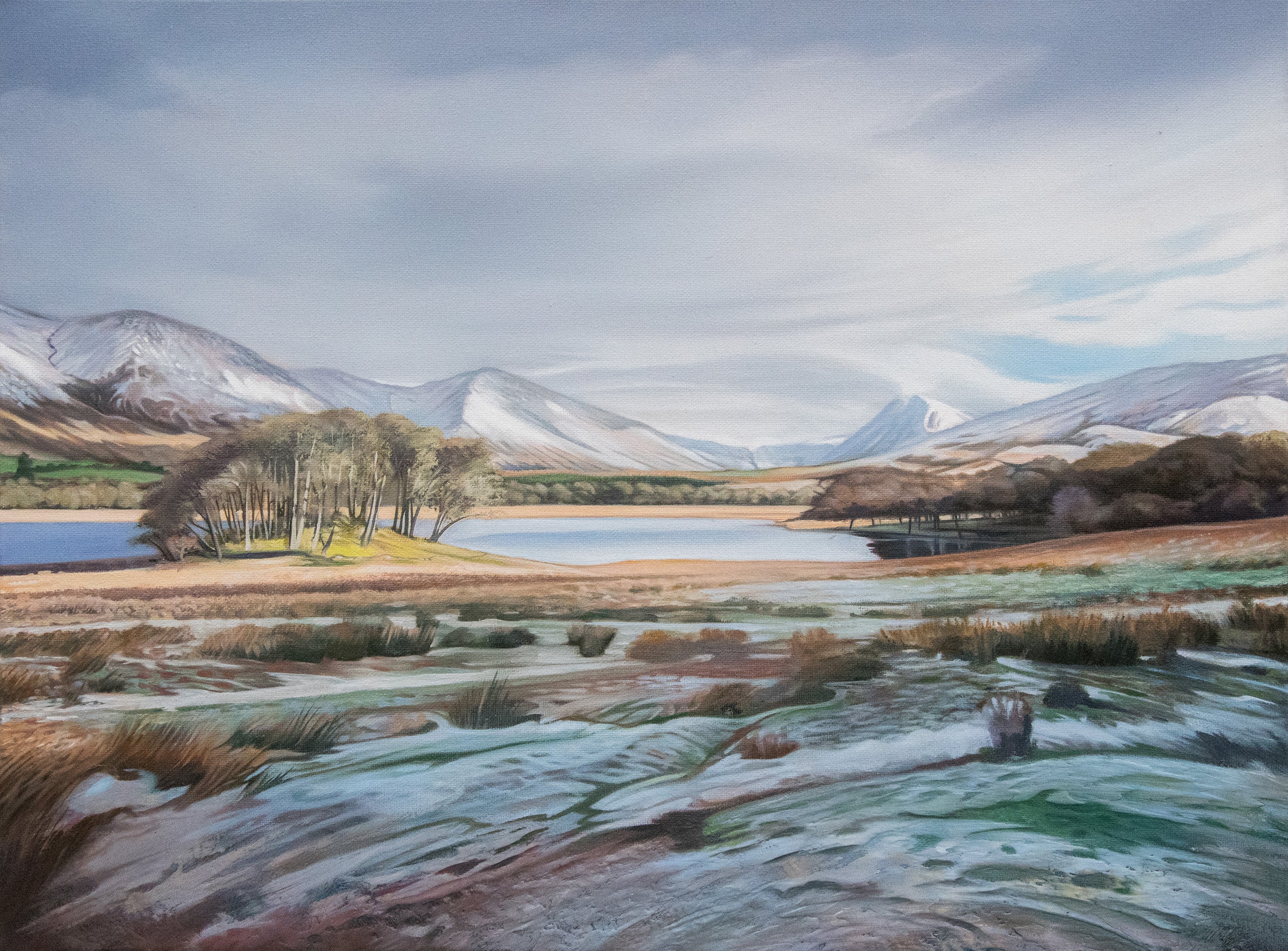 Brushgrass Mountains