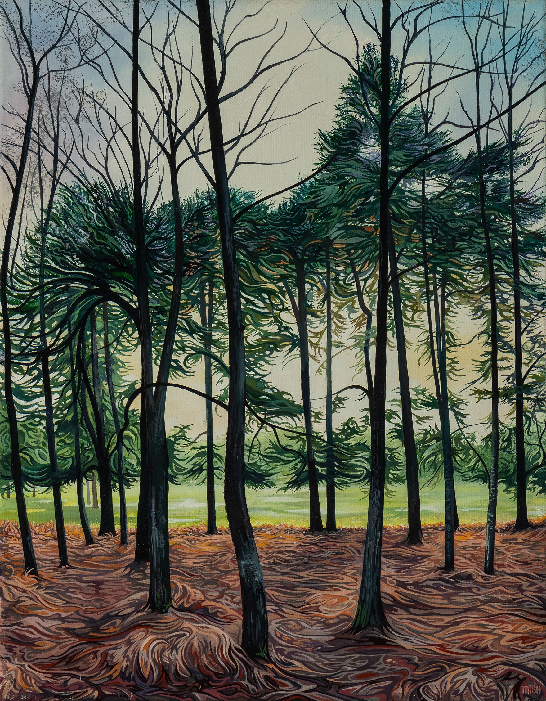 Sunset through the Pines