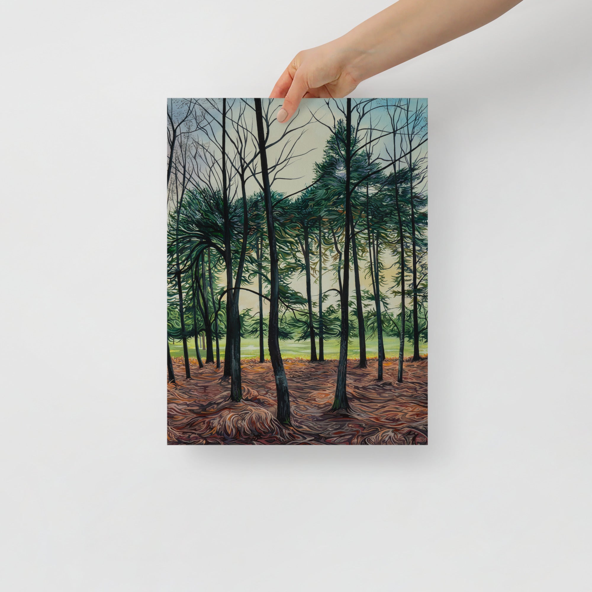 Sunset through the Pines