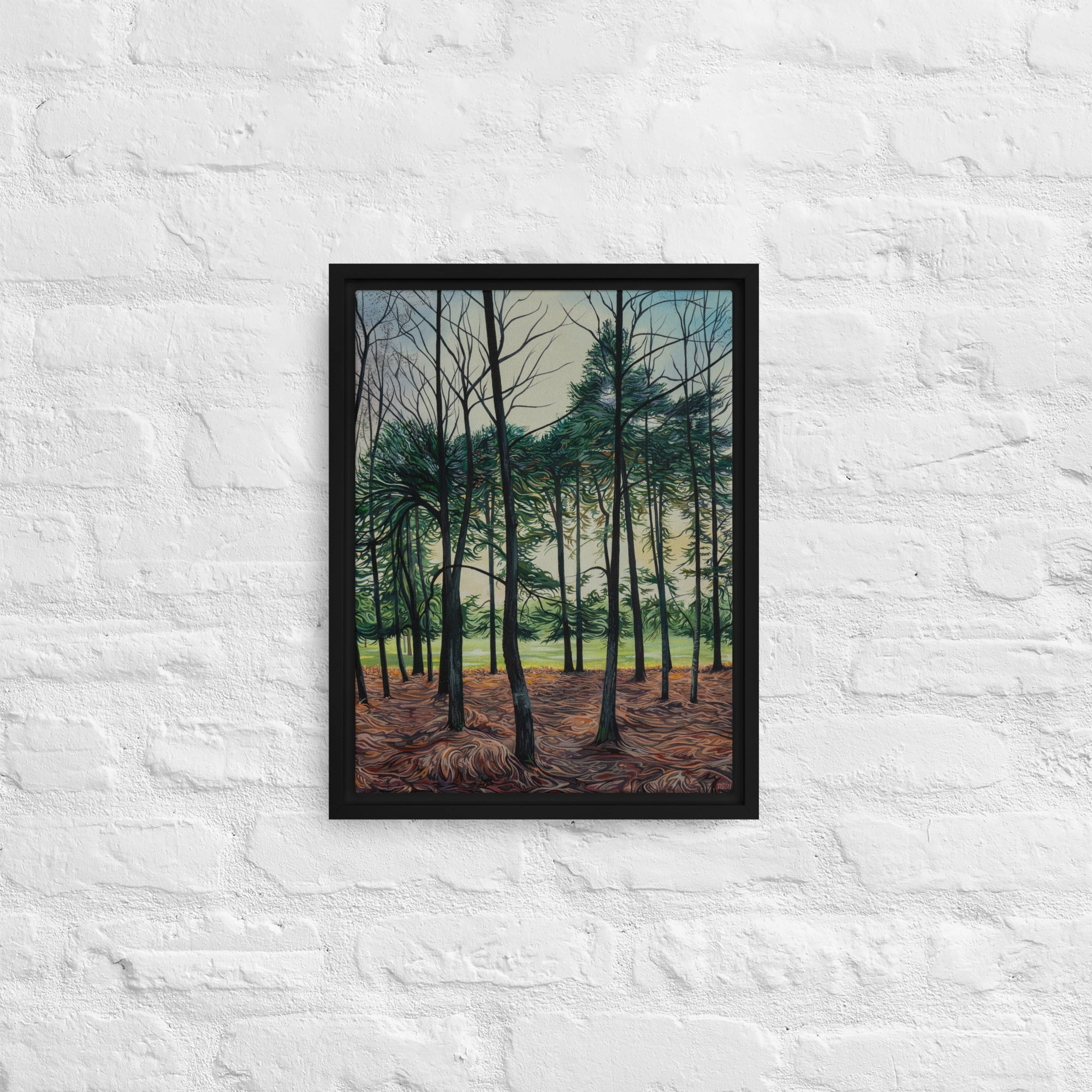 Sunset through the Pines