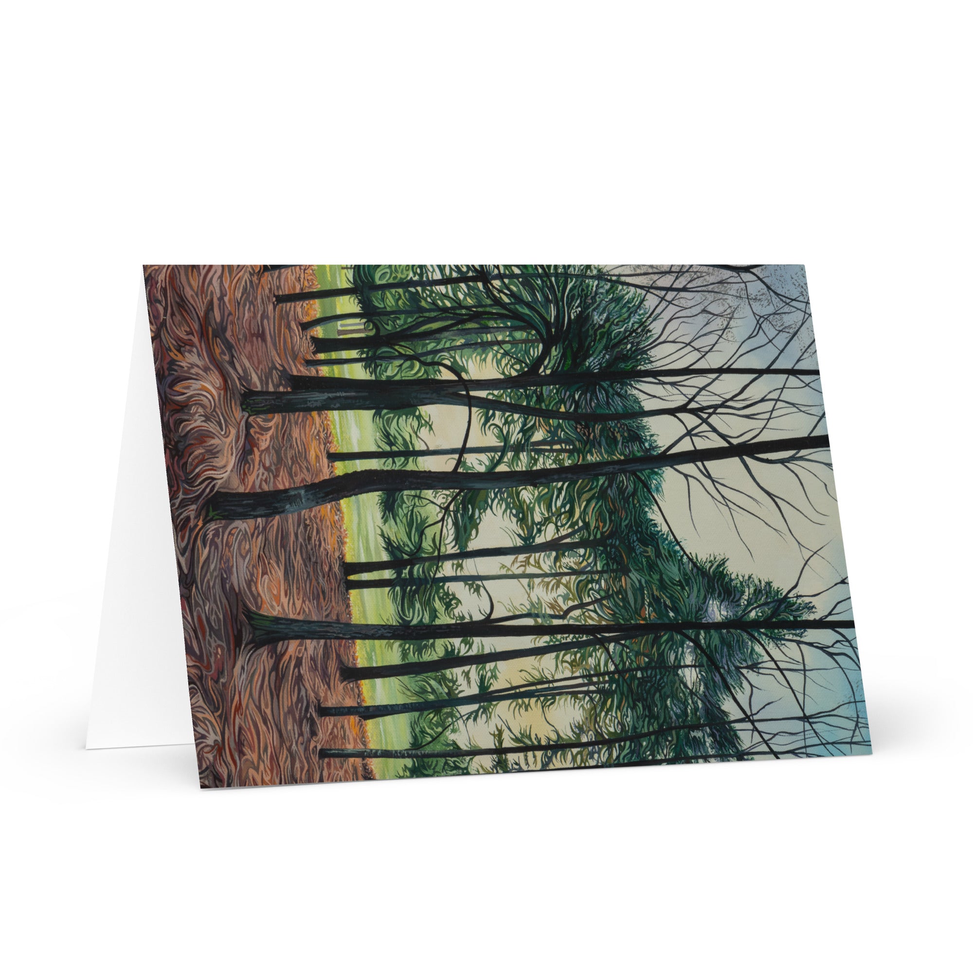 Sunset through the Pines